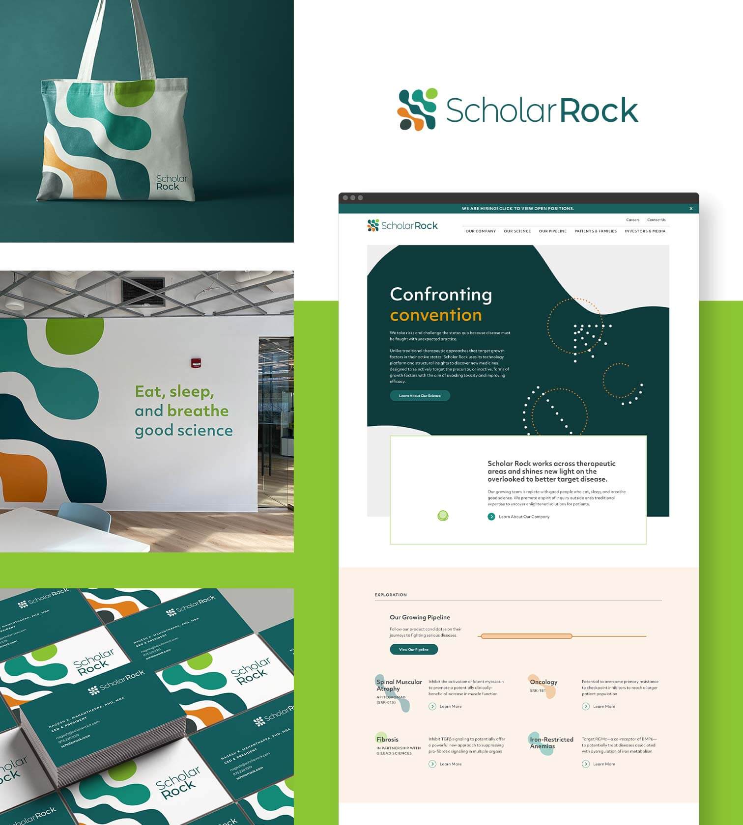 Scholar Rock Branding/Website
